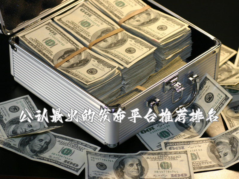 公认最火的发布平台推荐排名